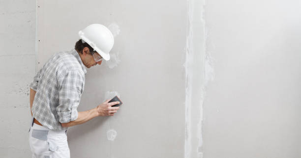 Labarque Creek, MO Mold Removal Company
