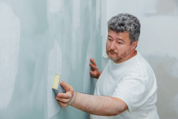 Best Asbestos and Lead Testing During Mold Inspection  in Labarque Creek, MO